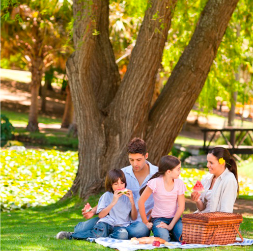 Компания проводит обучение